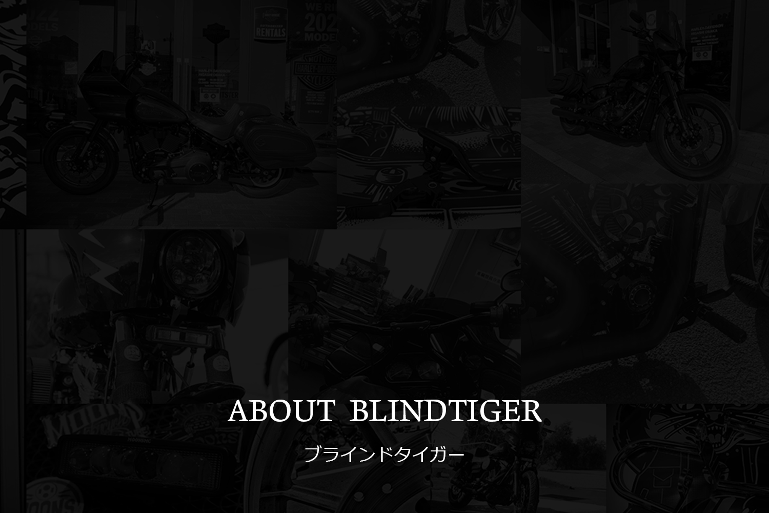 ブラインドタイガー | Blindtiger | ハーレーパーツ&アパレル